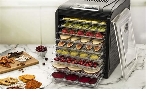 fruit dryers machines|10 Best Food Dehydrators for 2023 .